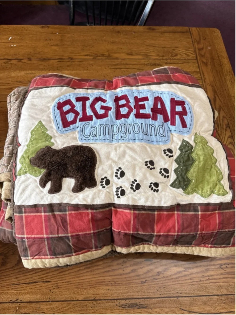 Wool Rich Kids, BIG BEAR Pillow Shams And Quilt So CUTE!!!